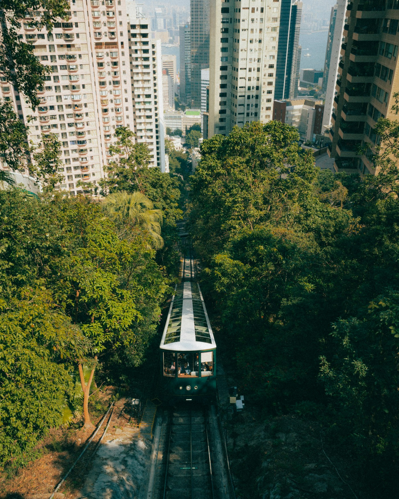 Public transport among urban greenery, not the Yinchuan project site